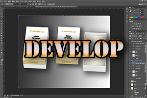 Develop